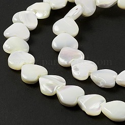 Natural Trochid Shell/Trochus Shell Beads Strands&nbsp;SHEL-F003-08A