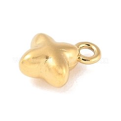 304 Stainless Steel Charms&nbsp;STAS-Q351-09G