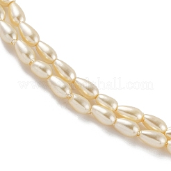 ポリッシュシェルパールビーズ連売り  ティアドロップ  シャンパンゴールド  5.5x3.5mm  穴：0.5mm  約74個/連  15.9インチ（40.5cm）&nbsp;BSHE-L042-A01-01