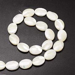 Natural Trochid Shell/Trochus Shell Beads Strands&nbsp;SSHEL-K008-05