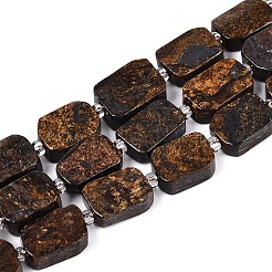 Natural Bronzite Beads Strands&nbsp;G-C098-A39-01