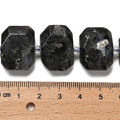 Natural Larvikite Beads Strands&nbsp;G-H078-B06-01