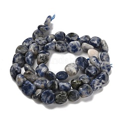 Natural Blue Spot Jasper Beads Strands&nbsp;G-P497-01E-67