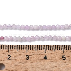 Natural Kunzite/Spodumene Beads Strands&nbsp;G-L651-C12-2mm-02