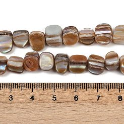 天然ニシキウズガイシェルビーズ連売り  ナゲット  キャメル  6~8x8~11x6~9mm  穴：1mm  約53個/連  15.94''（40.5センチメートル）&nbsp;BSHE-Q050-01B