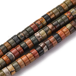 Natural Polychrome Jasper/Picasso Stone/Picasso Jasper Beads Strands&nbsp;G-Z006-C42