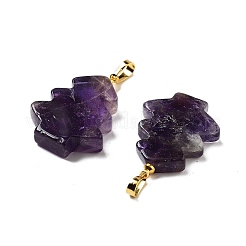 Natural Amethyst Pendants&nbsp;G-A203-01I