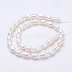 天然養殖淡水パールビーズ連売り  ライス  貝殻色  8~10x6~7mm  穴：0.5mm  約35~40個/連  14インチ&nbsp;PEAR-P002-23