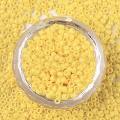 Baking Paint Glass Seed Beads&nbsp;X-SEED-S042-05A-06