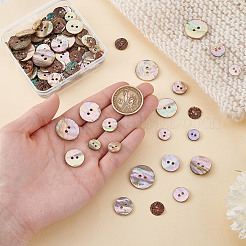 Natural Paua Shell Buttons&nbsp;BUTT-GA0001-32