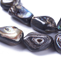 天然アワビシェル/パウアシェルビーズ連売り  ナゲット  14~20x11~18x6~8.5mm  穴：1.2mm  約21~23個/連  15.1~15.5インチ（38.5~39.5cm）&nbsp;SSHEL-F303-08A