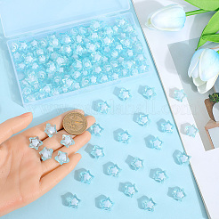 120Pcs Transparent Acrylic Beads&nbsp;TACR-SP0001-11C