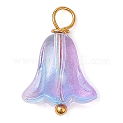 20Pcs Glass Beads Pendants&nbsp;PALLOY-JF03103