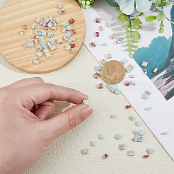 100Pcs Natural Shoushan Stone Beads&nbsp;G-FH0002-48