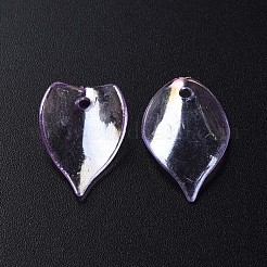 Transparent Acrylic Beads&nbsp;MACR-S373-103-C02