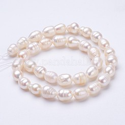 天然養殖淡水パールビーズ連売り  ライス  貝殻色  9~11x8~9mm  穴：0.5mm  約35~36個/連  14インチ&nbsp;PEAR-P002-27
