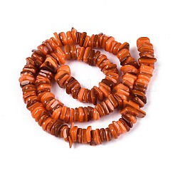 天然淡水シェルビーズ連売り  染め  チップ  サンゴ  5~27x5~27x0.5~6mm  穴：0.7~1mm  約155~165個/連  15.75~16.14インチ（40~41cm）&nbsp;SHEL-N037-01B