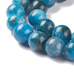 Natural Apatite Beads Strands&nbsp;G-F617-01-8mm