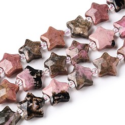 Natural Rhodonite Beads Strands&nbsp;G-T138-192