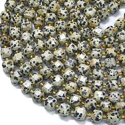 Natural Dalmatian Jasper Beads Strands&nbsp;G-K389-A64-01