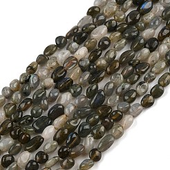 Natural Labradorite Beads Strands&nbsp;LS-G-C250-03