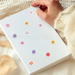 Paper Stickers&nbsp;DIY-SP0007-43D