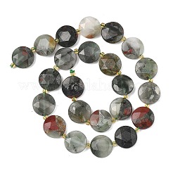 Natural Bloodstone Beads Strands&nbsp;G-A292-A09-01