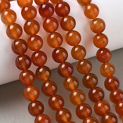 天然な赤瑪瑙ビーズ連売りラウンド  染め＆加熱  10mm  穴：1.2mm  約38個/連  14.9インチ&nbsp;G-M257-10mm-26
