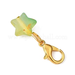 星のアクリルペンダント装飾  カニカン付き  ミックスカラー  24.5mm&nbsp;HJEW-JM04576