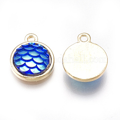 Alloy Resin Charms&nbsp;PALLOY-T056-24B