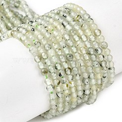 天然石プレナイトビーズ連売り  ラウンド  3mm  穴：0.8mm  約126個/連  15.16''（38.5センチメートル）&nbsp;G-RM250104-A9
