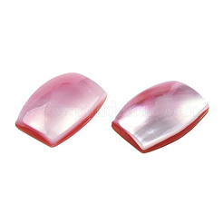 ナチュラル ターボ コーニュラス/トップ シェル カボション  アクリルと黄色のシェル  染め  長方形  ピンク  18x12.5x4~5mm&nbsp;SSHEL-N003-153B