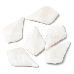 Natural Freshwater Shell Cabochons&nbsp;SHEL-K006-04