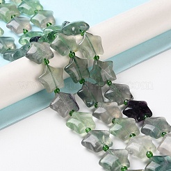 天然石蛍石ビーズ連売り  シードビーズで  膨らんだ星  14~15.5x15~16x6.5~7mm  穴：1mm  約24~25個/連  15.55''~15.95''（39.5~40.5センチメートル）&nbsp;G-NH0005-012