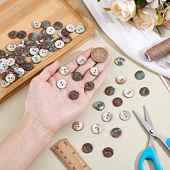 70Pcs 2-Hole Shell Buttons&nbsp;BUTT-ME0001-26