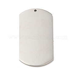 Non-Tarnish Pride 201 Stainless Steel Big Pendants&nbsp;STAS-J041-05A