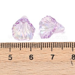 Transparent Acrylic Bead Caps&nbsp;OACR-G054-03K