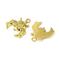 Tibetan Style Alloy Pendants&nbsp;TIBE-YW0001-02AG