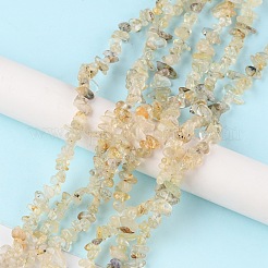 天然石ゴールドルチルクォーツビーズ連売り  チップ  1.5~4.5x3~13x2.5~8mm  穴：0.6mm  30.94~31.97インチ（78.6~81.2cm）&nbsp;G-G0003-B19