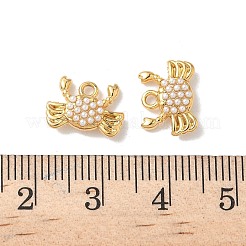 304 Stainless Steel Charms&nbsp;STAS-H483-26B-G