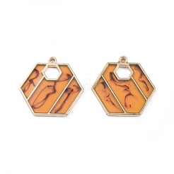 Epoxy Resin Pendants&nbsp;RESI-X0001-08
