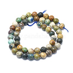 Natural Chrysocolla and Lapis Lazuli Beads Strands&nbsp;G-F715-105B