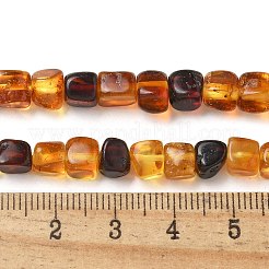 Natural Amber Beads Strands&nbsp;G-K387-E02-01