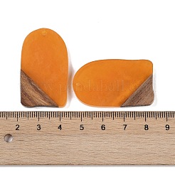 Resin & Wood Pendants&nbsp;WOOD-F015-13E