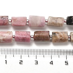 Natural Rhodonite Beads Strands&nbsp;G-N327-06-09
