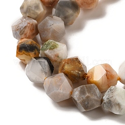 Natural Fossil Coral Beads Strands&nbsp;G-K382-A07-02