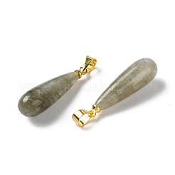 Natural Labradorite Teardrop Pendants&nbsp;G-Q005-03G-07