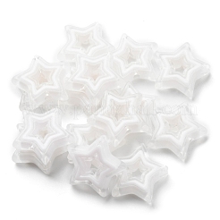 Acrylic Beads&nbsp;SACR-G033-02E