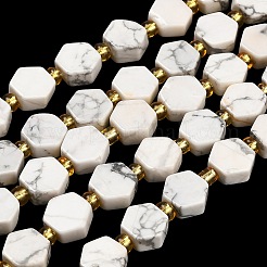天然石ハウライトビーズ連売り  六角  シードビーズで  9x10x5mm  穴：0.8mm  約15個/連  7.09''（18センチメートル）&nbsp;G-F833-B13-01