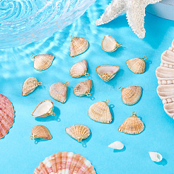 15Pcs Natural Shell Pendants&nbsp;BSHE-TA0001-26